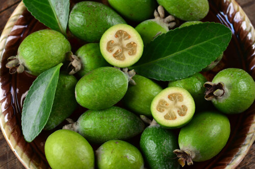 Feijoa Unique
